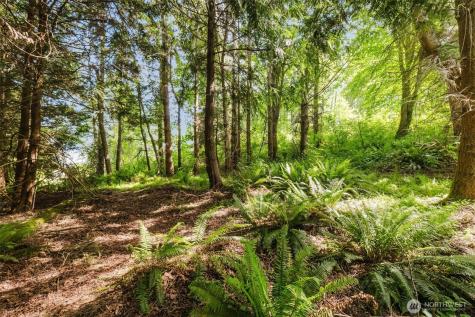 38742 Tinker Place NE Hansville WA 98340