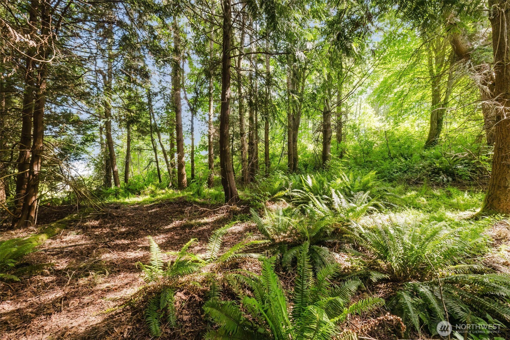 38742 Tinker Place NE Hansville WA 98340