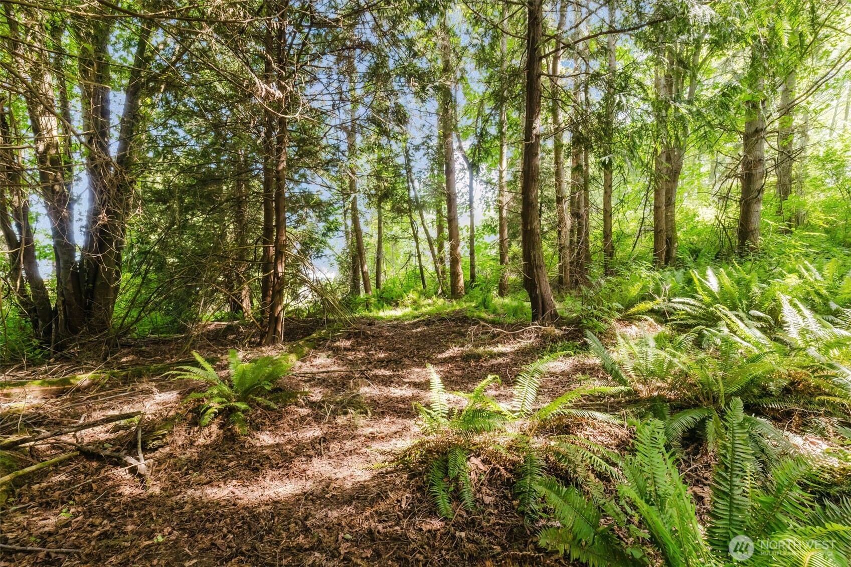 38742 Tinker Place NE Hansville WA 98340