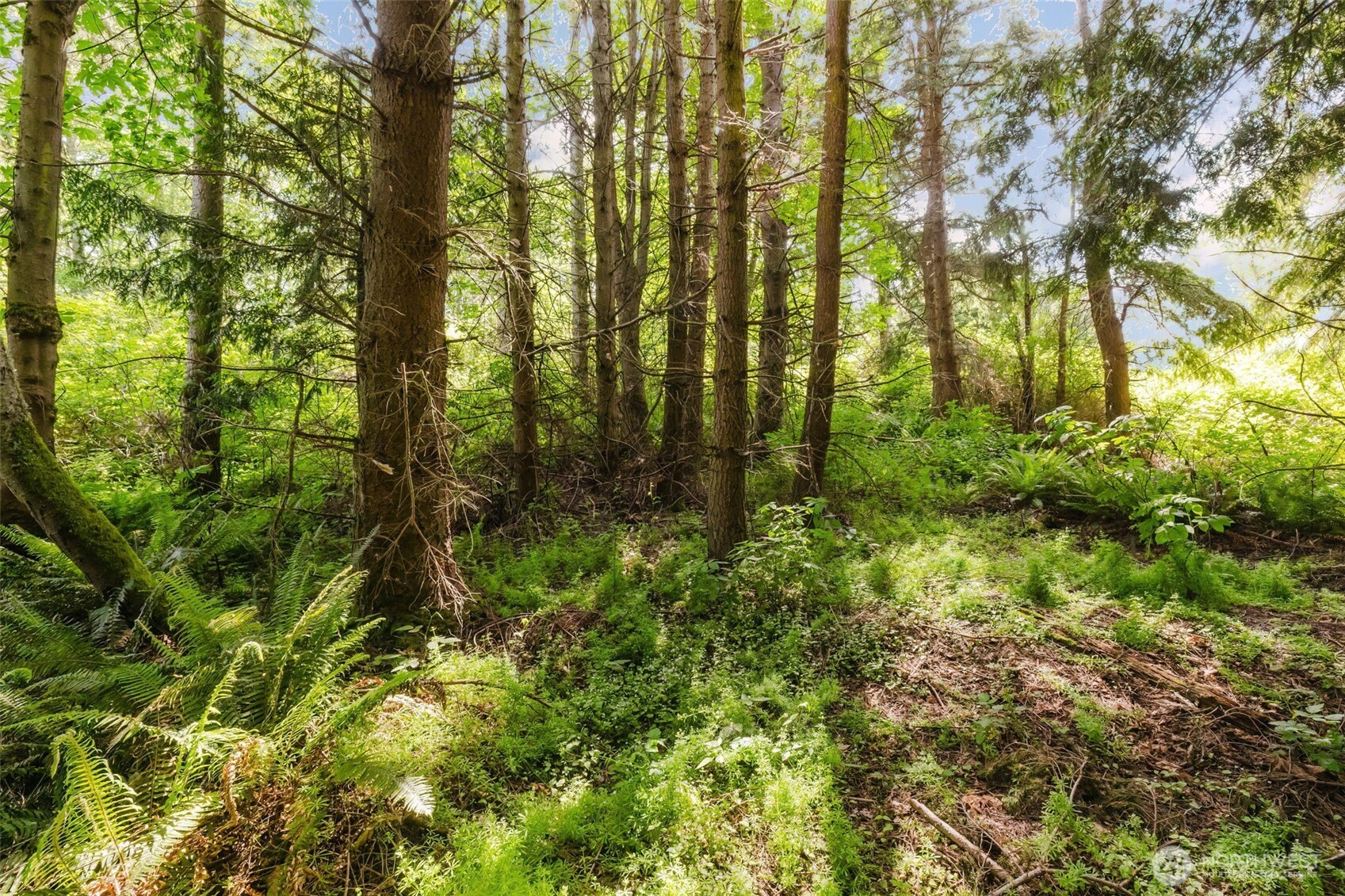 38742 Tinker Place NE Hansville WA 98340