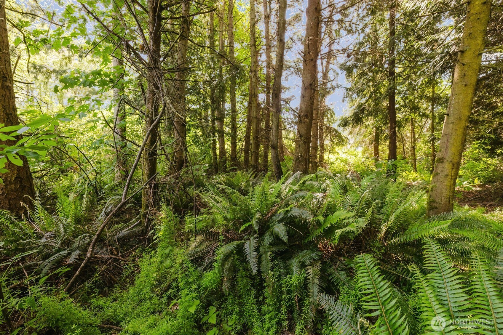38742 Tinker Place NE Hansville WA 98340