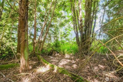 38742 Tinker Place NE Hansville WA 98340