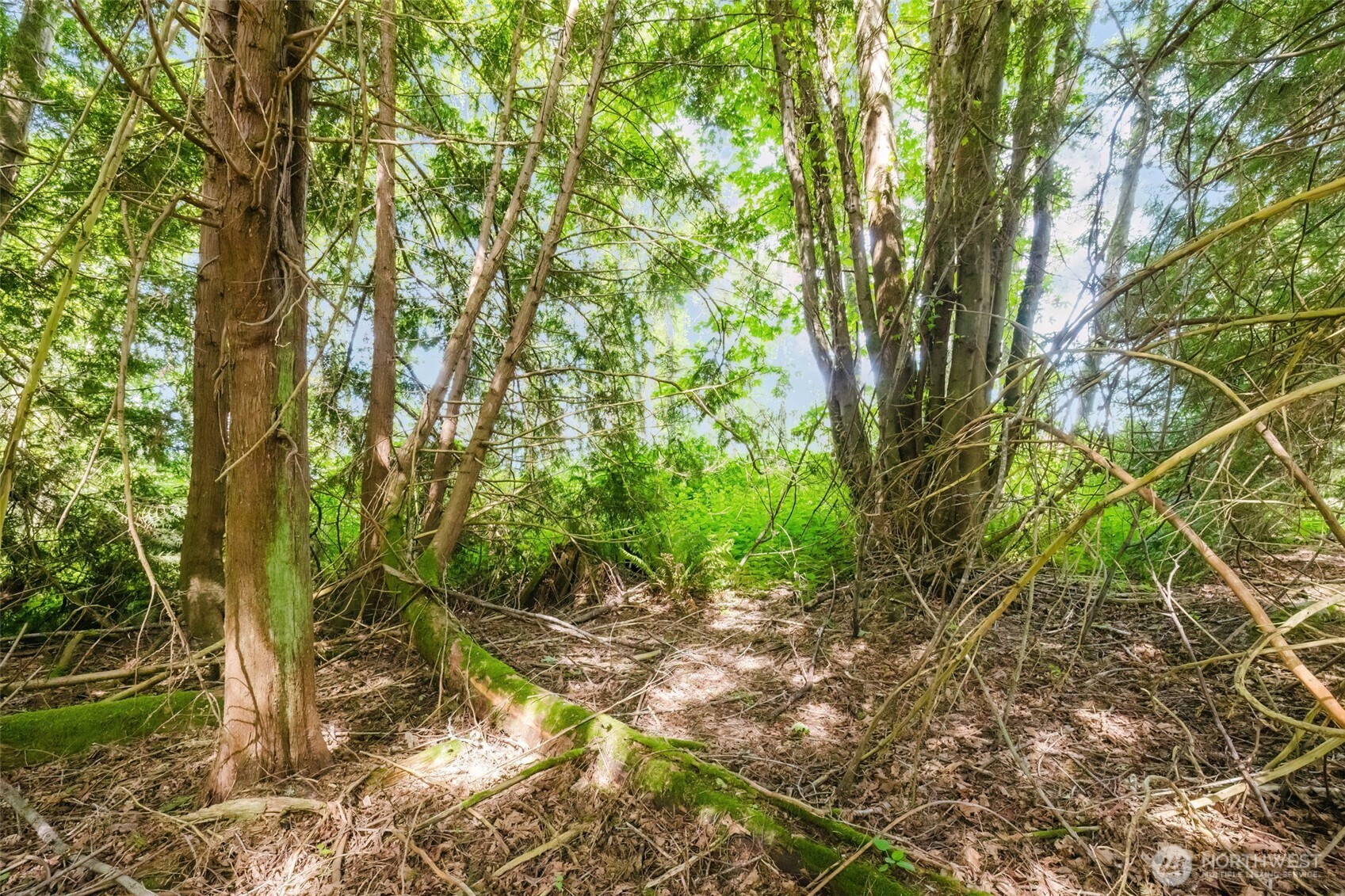 38742 Tinker Place NE Hansville WA 98340