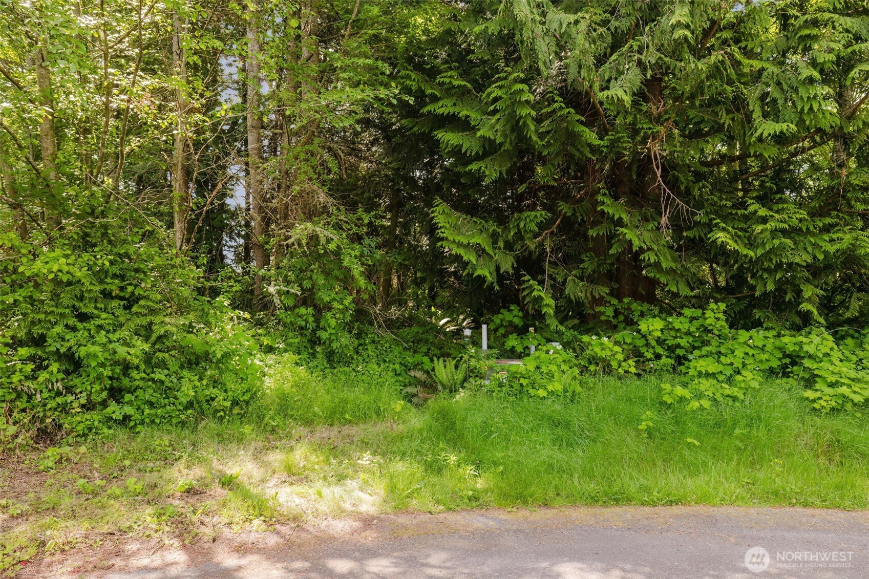 38742 Tinker Place NE Hansville WA 98340