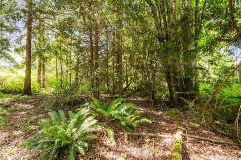 38742 Tinker Place NE Hansville WA 98340