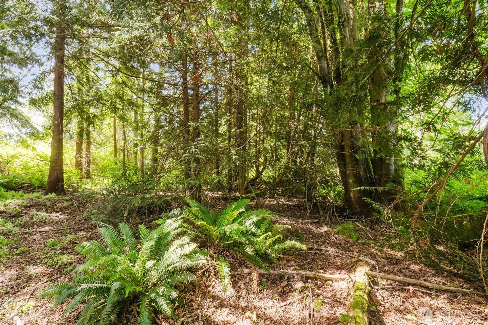 38742 Tinker Place NE Hansville WA 98340
