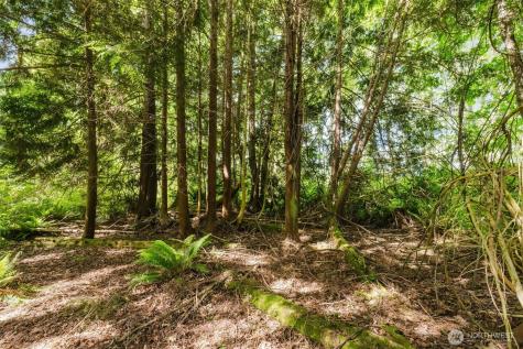 38742 Tinker Place NE Hansville WA 98340