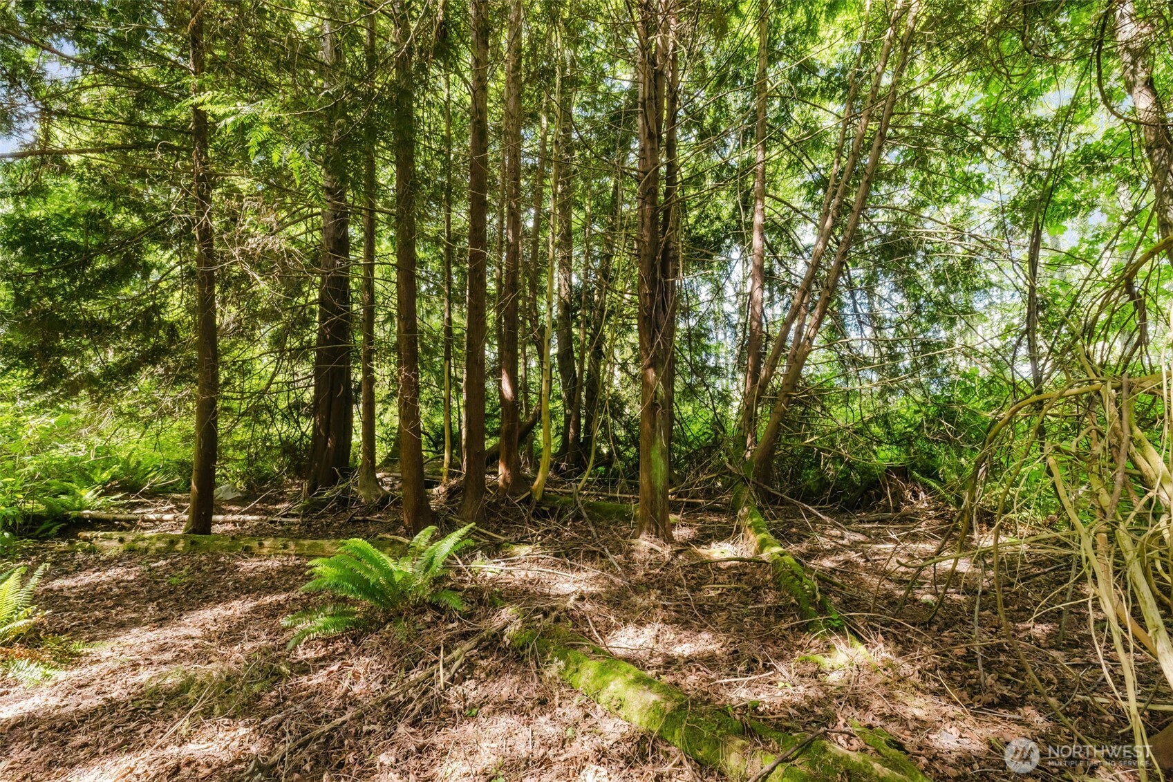 38742 Tinker Place NE Hansville WA 98340