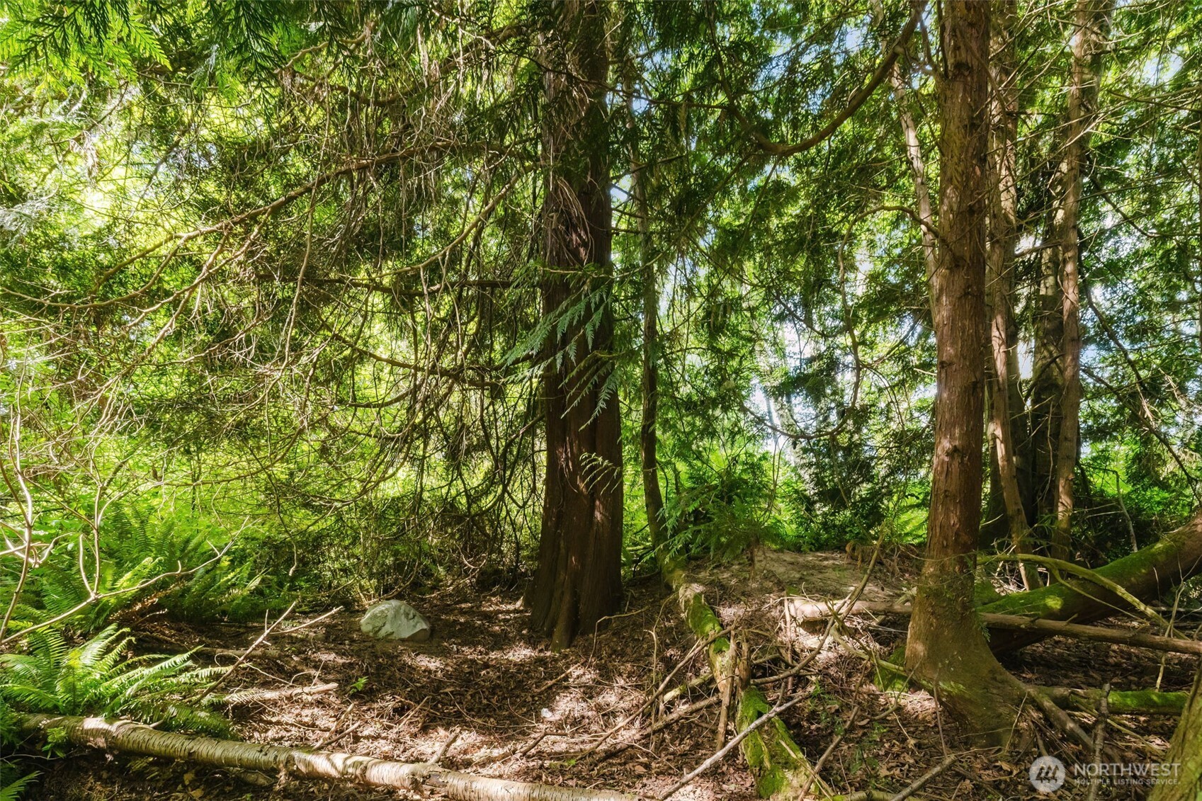 38742 Tinker Place NE Hansville WA 98340
