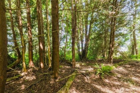 38742 Tinker Place NE Hansville WA 98340