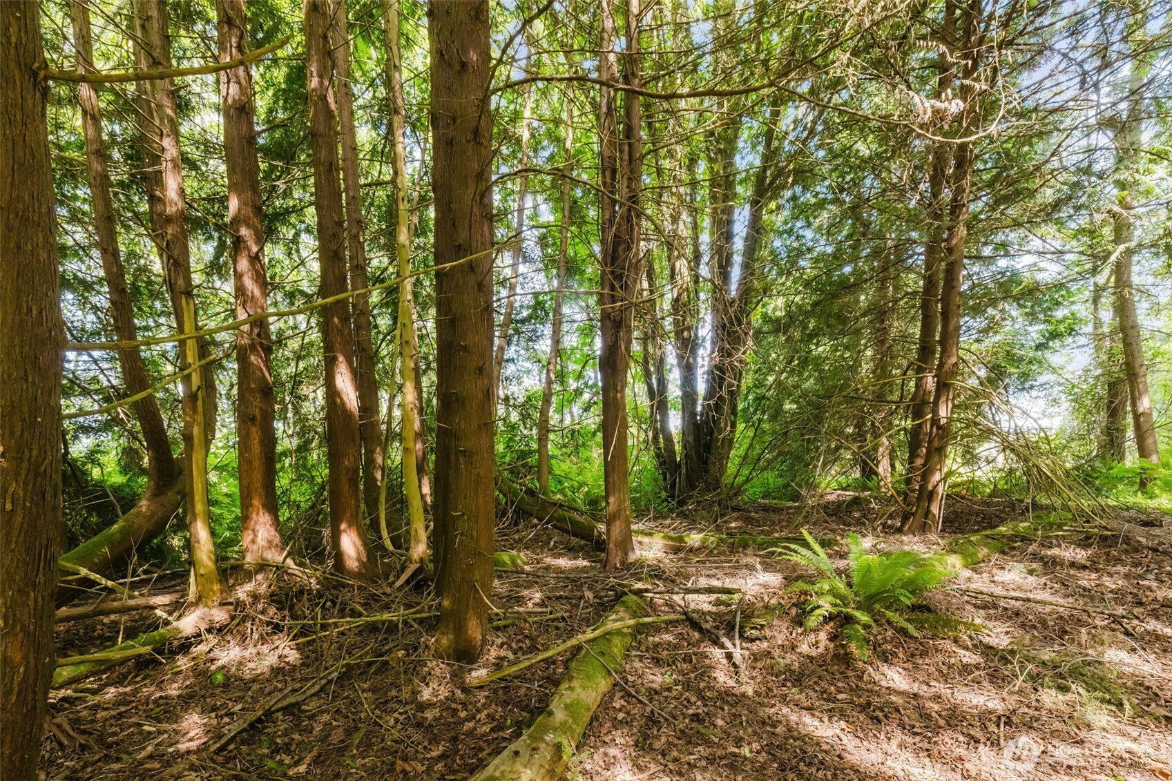38742 Tinker Place NE Hansville WA 98340
