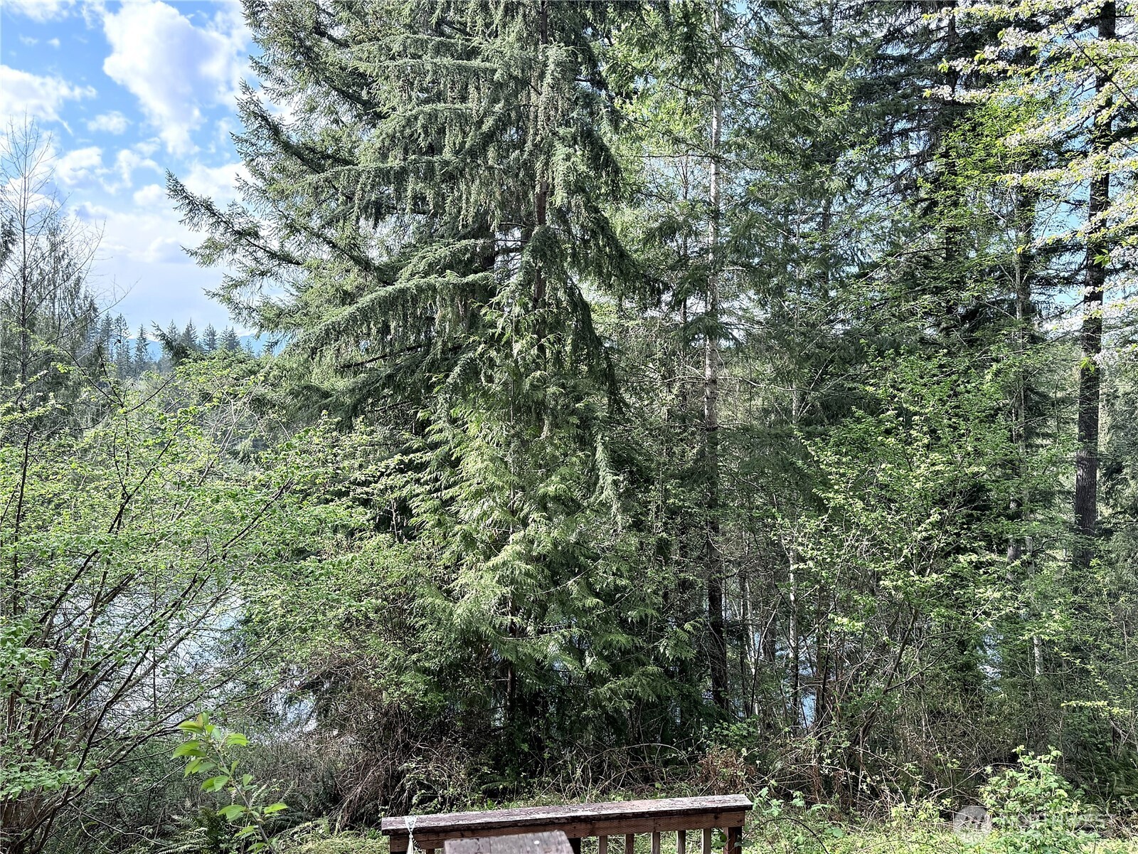 3780 S Mission Road W Bremerton WA 98312