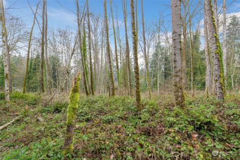16 Xxx 76th Place NE Kenmore WA 98028