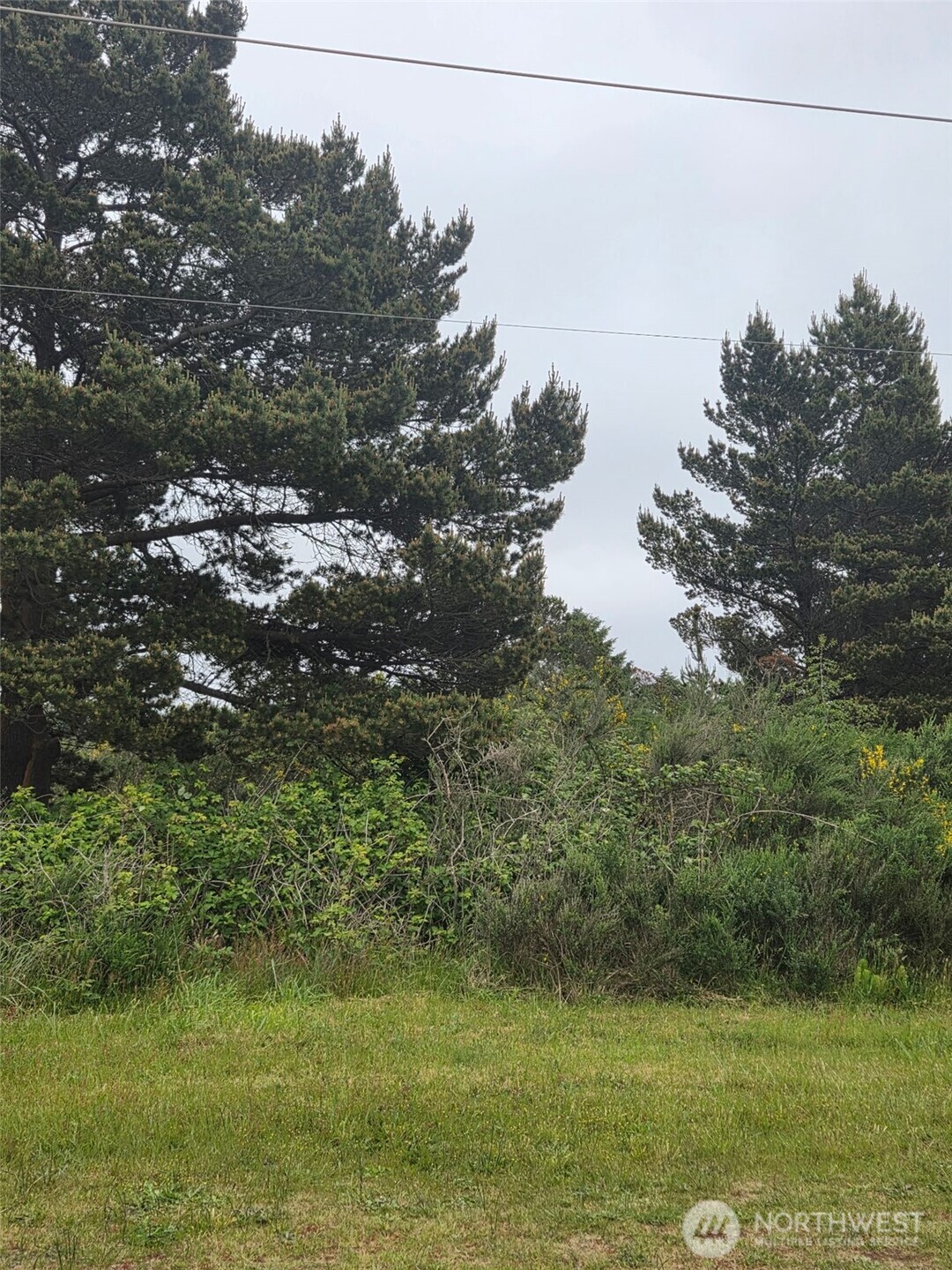 556 Point Brown Avenue NE Ocean Shores WA 98569