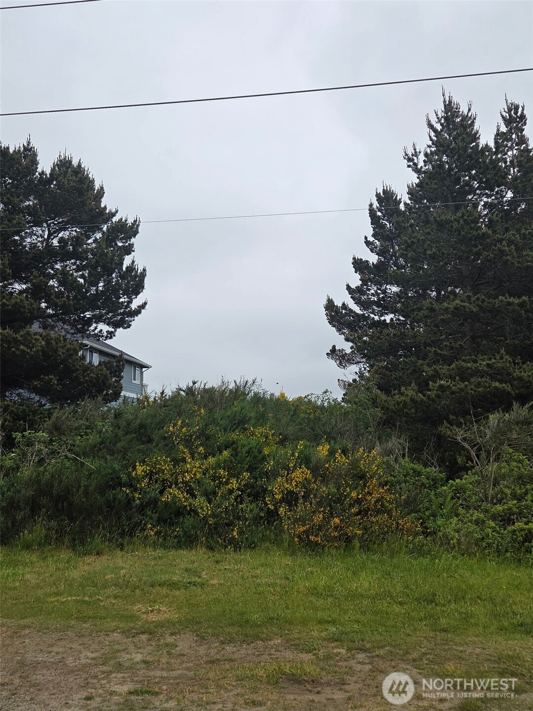 556 Point Brown Avenue NE Ocean Shores WA 98569