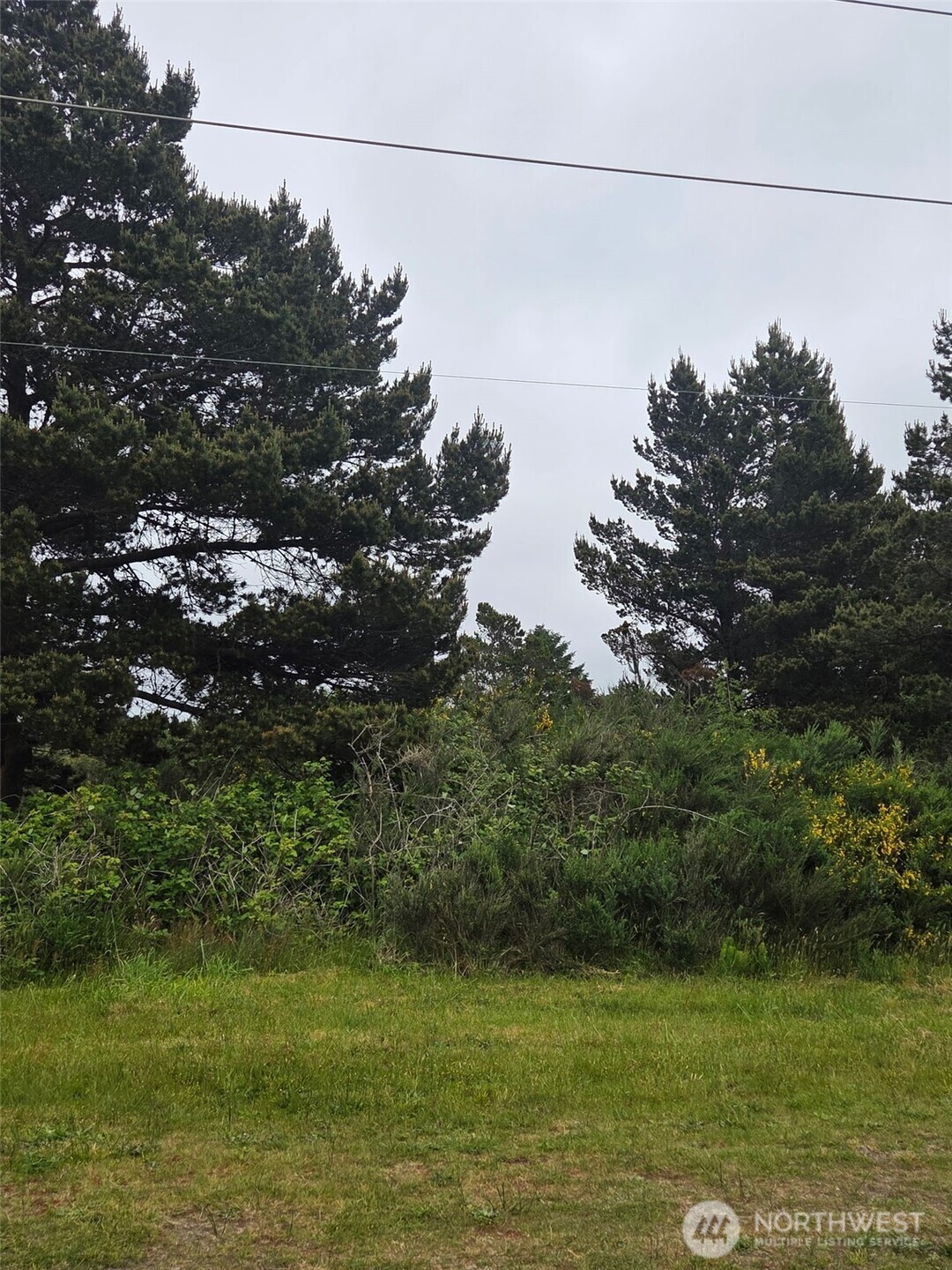 556 Point Brown Avenue NE Ocean Shores WA 98569