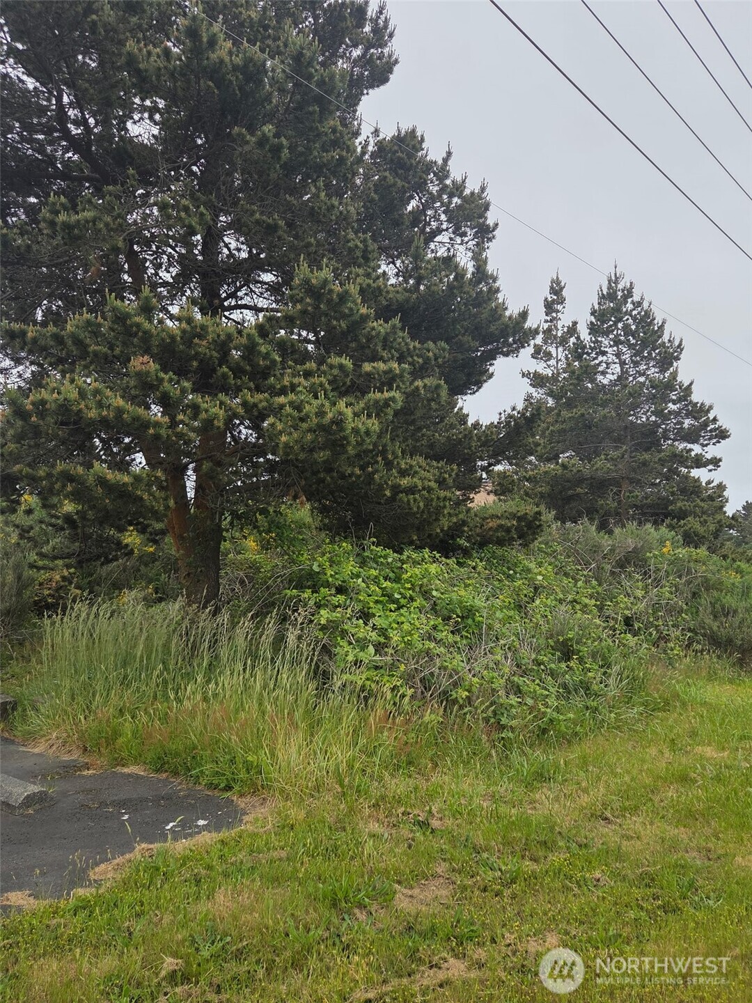 556 Point Brown Avenue NE Ocean Shores WA 98569
