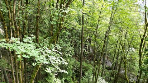 116 Xx 198th Avenue SE Issaquah WA 98027