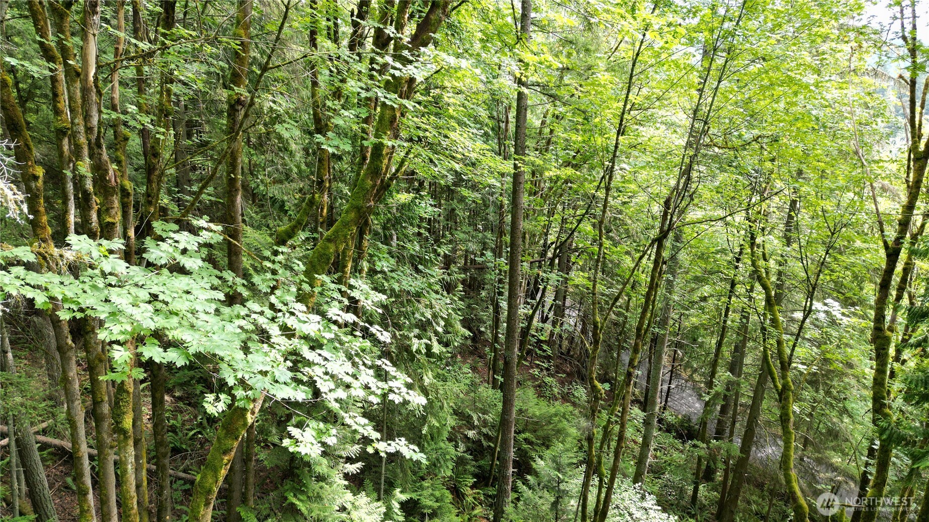 116 Xx 198th Avenue SE Issaquah WA 98027