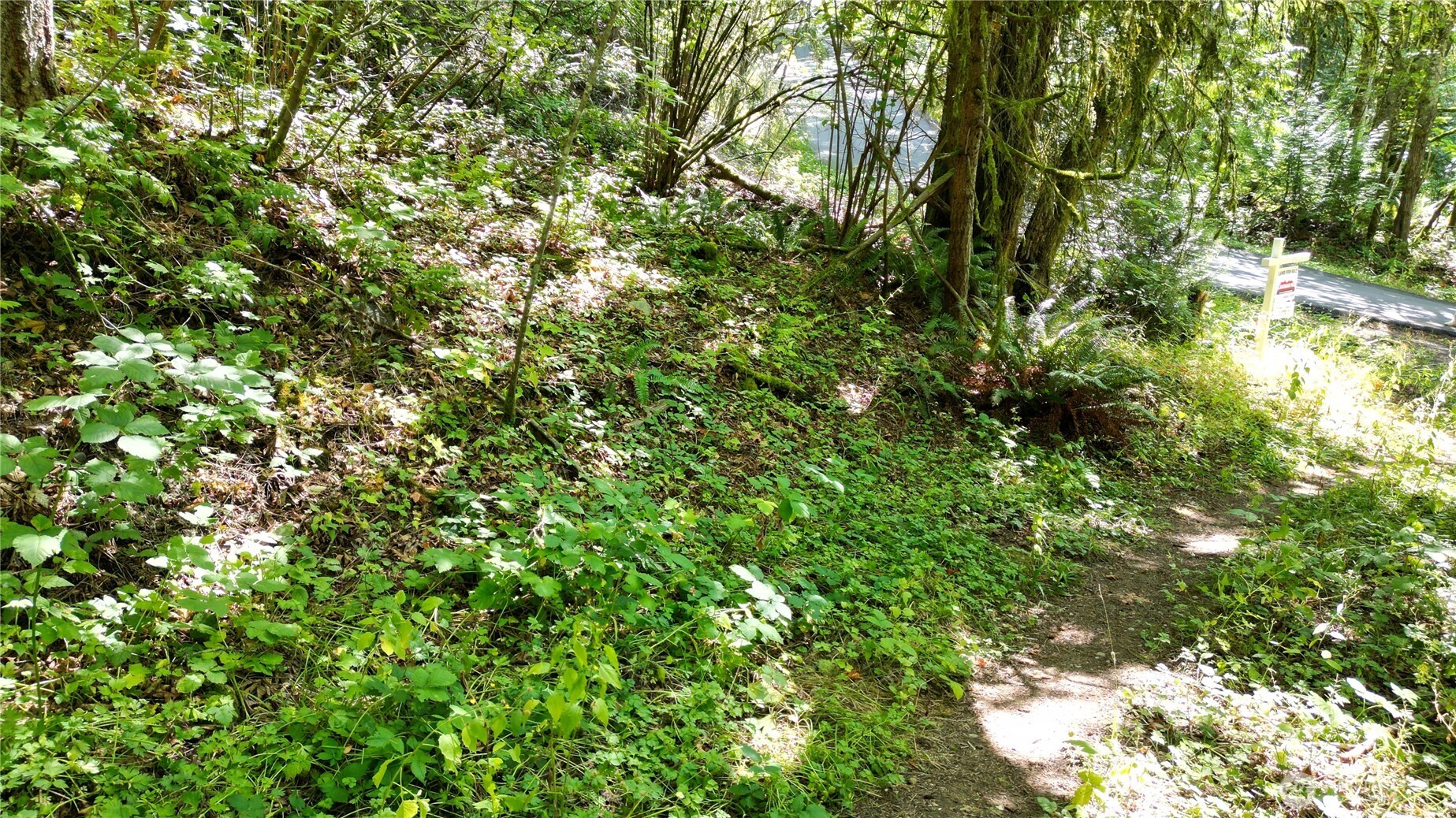 116 Xx 198th Avenue SE Issaquah WA 98027