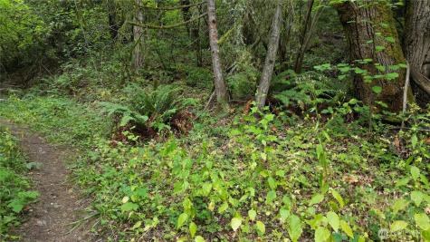 116 Xx 198th Avenue SE Issaquah WA 98027