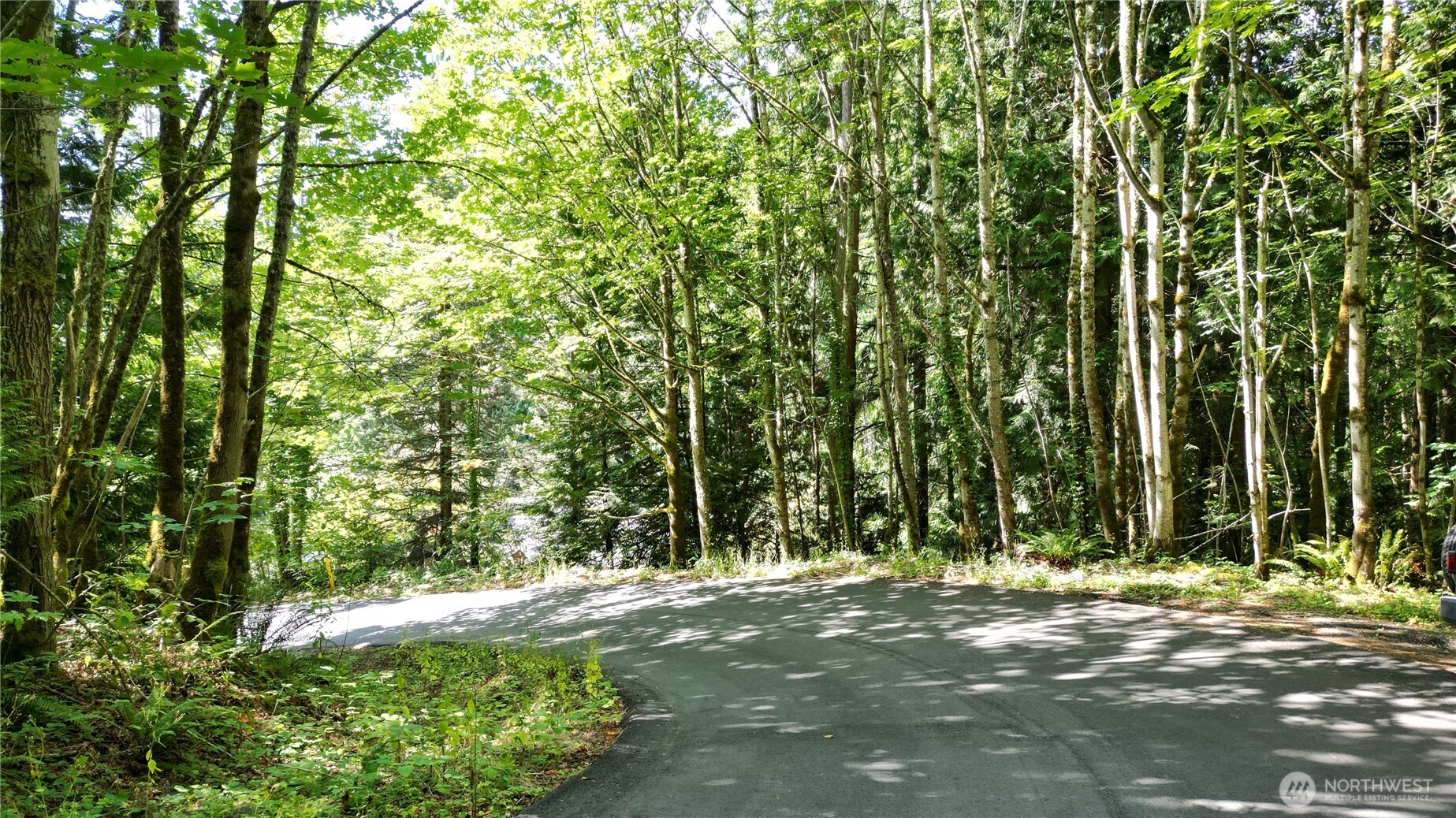 116 Xx 198th Avenue SE Issaquah WA 98027