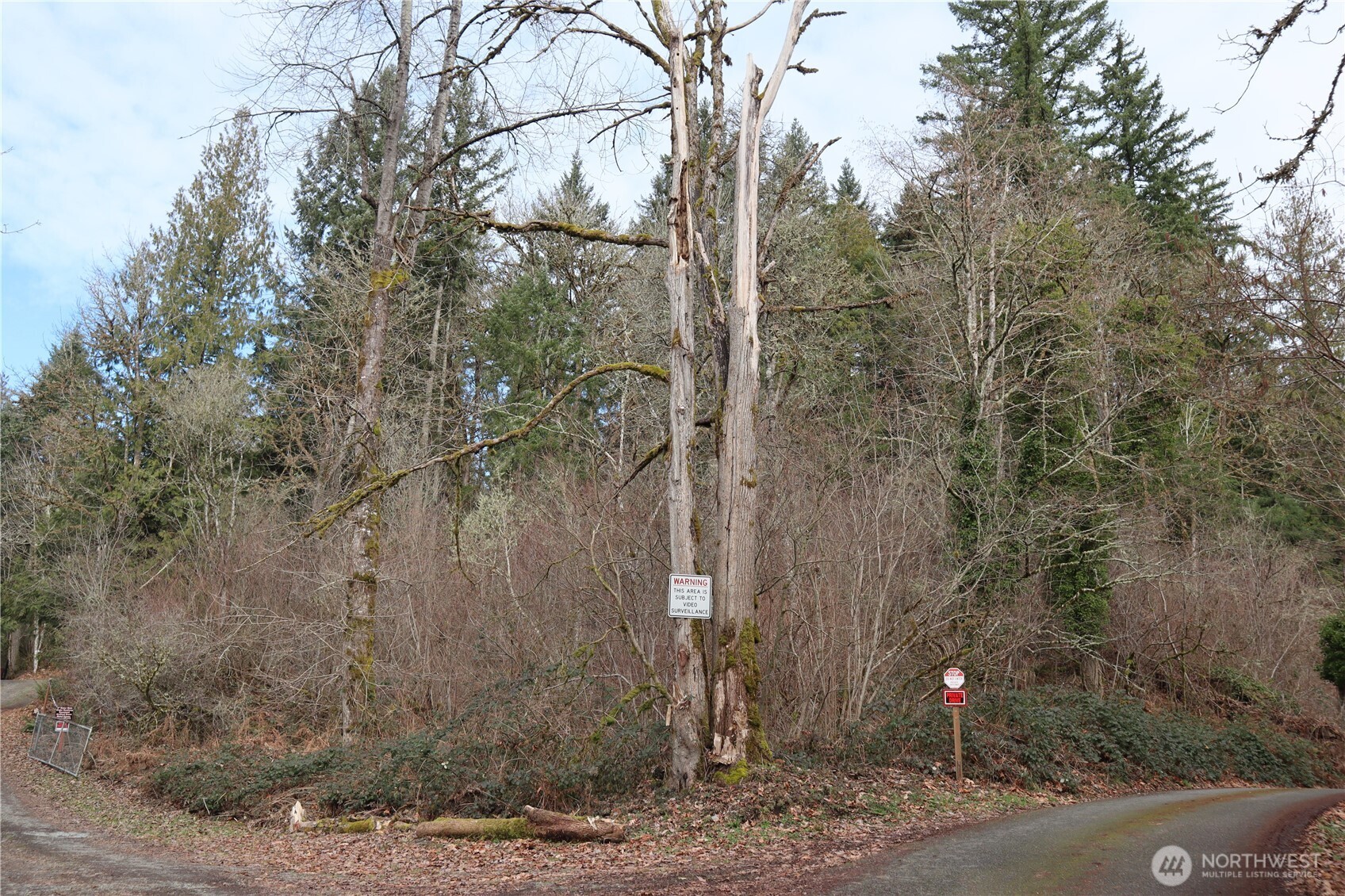 239 SE 238th Street Maple Valley WA 98038