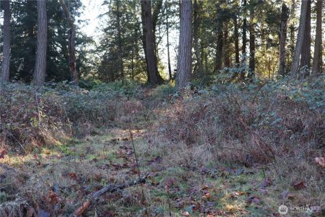 239 SE 238th Street Maple Valley WA 98038
