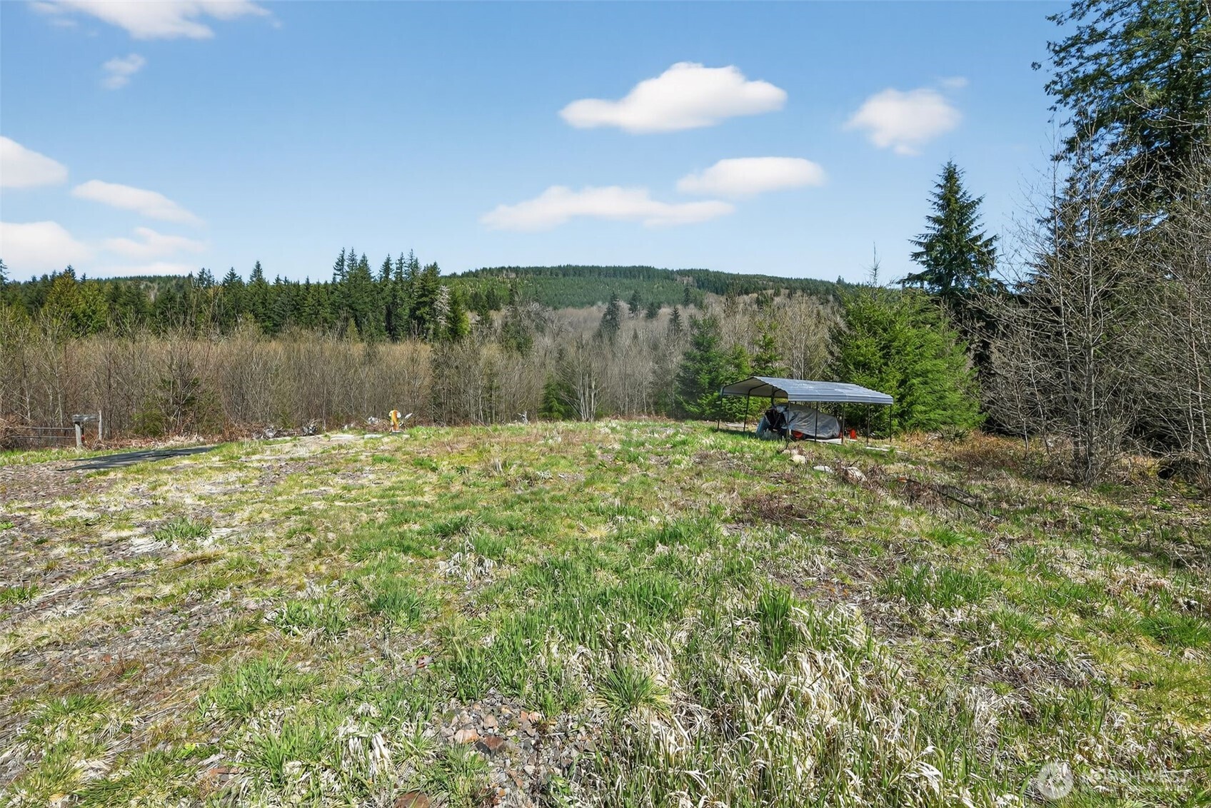 210 Bellicum Road Morton WA 98356