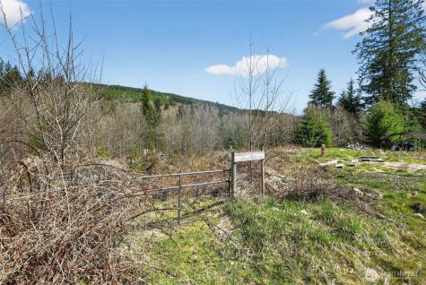 210 Bellicum Road Morton WA 98356