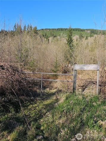210 Bellicum Road Morton WA 98356