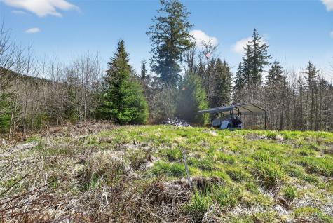 210 Bellicum Road Morton WA 98356