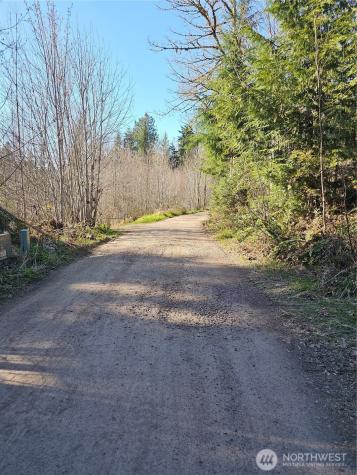 210 Bellicum Road Morton WA 98356