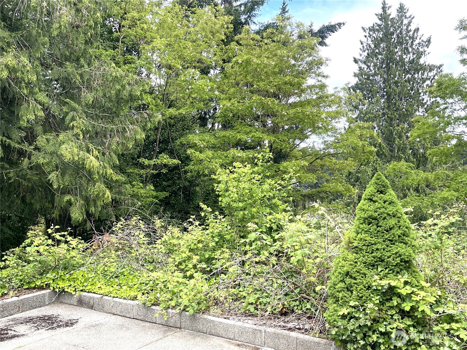 1309 Times Avenue Bremerton WA 98312