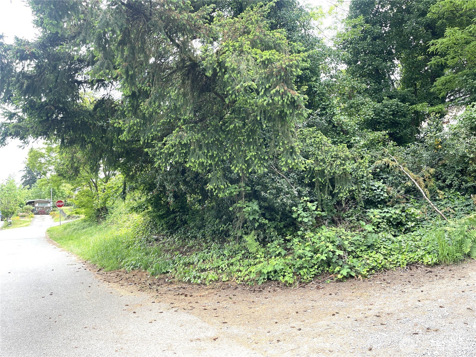 1309 Times Avenue Bremerton WA 98312