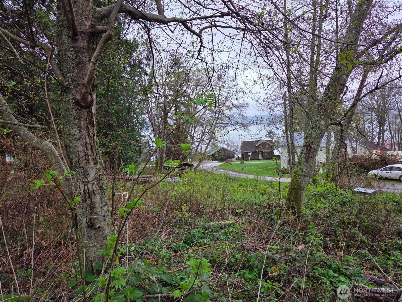 61 Cascade Drive Hat Island WA 98206