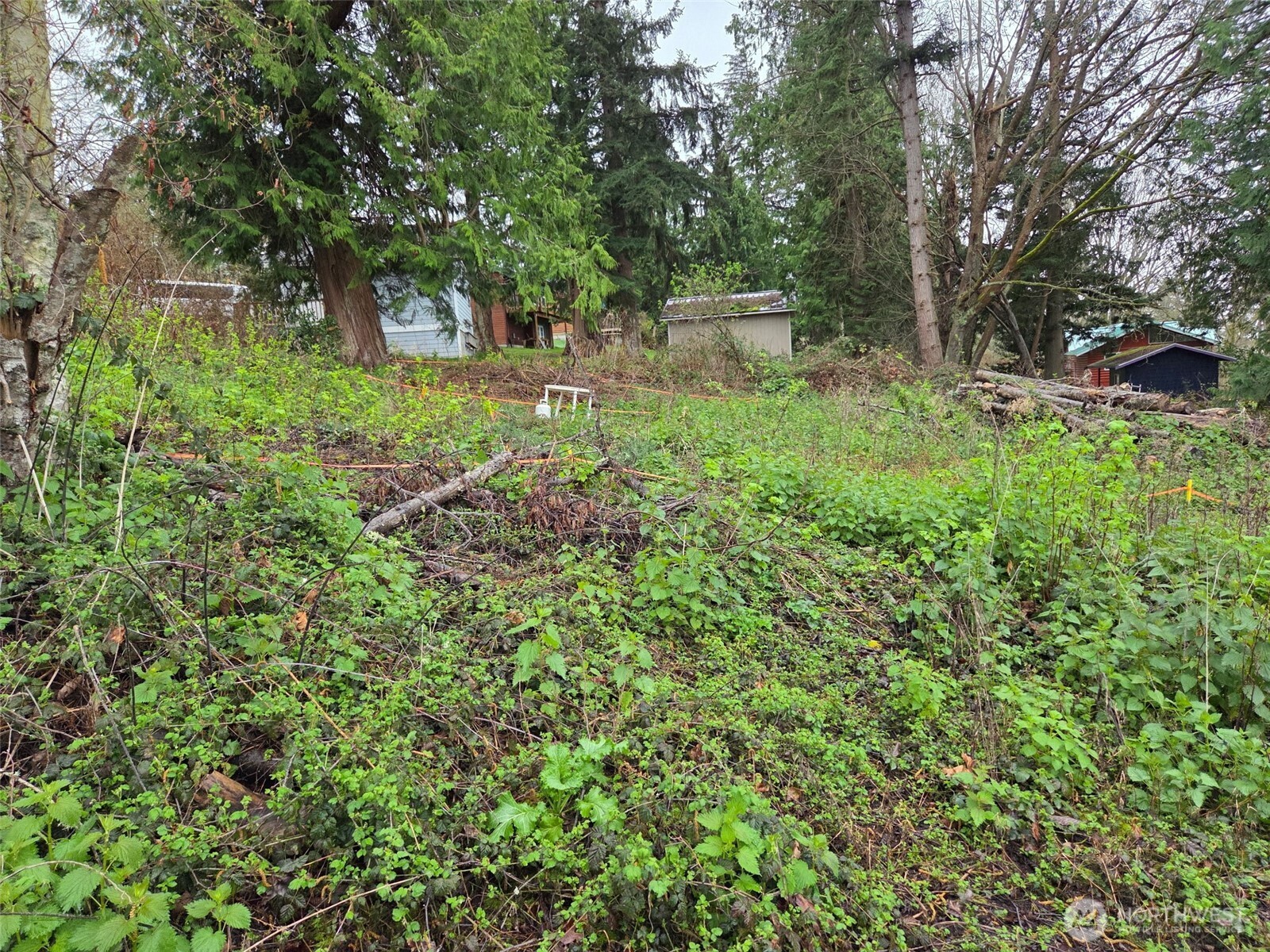 61 Cascade Drive Hat Island WA 98206