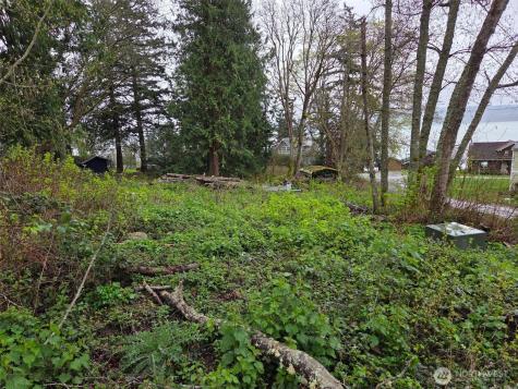 61 Cascade Drive Hat Island WA 98206