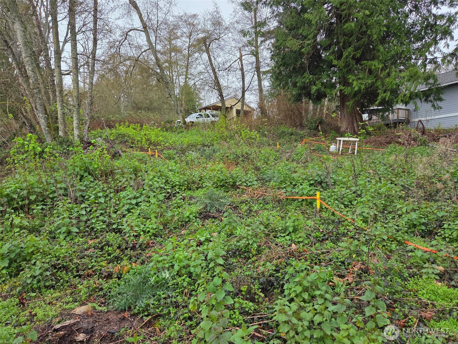 61 Cascade Drive Hat Island WA 98206