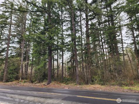 0 126th Avenue E Graham WA 98338