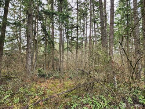 0 126th Avenue E Graham WA 98338