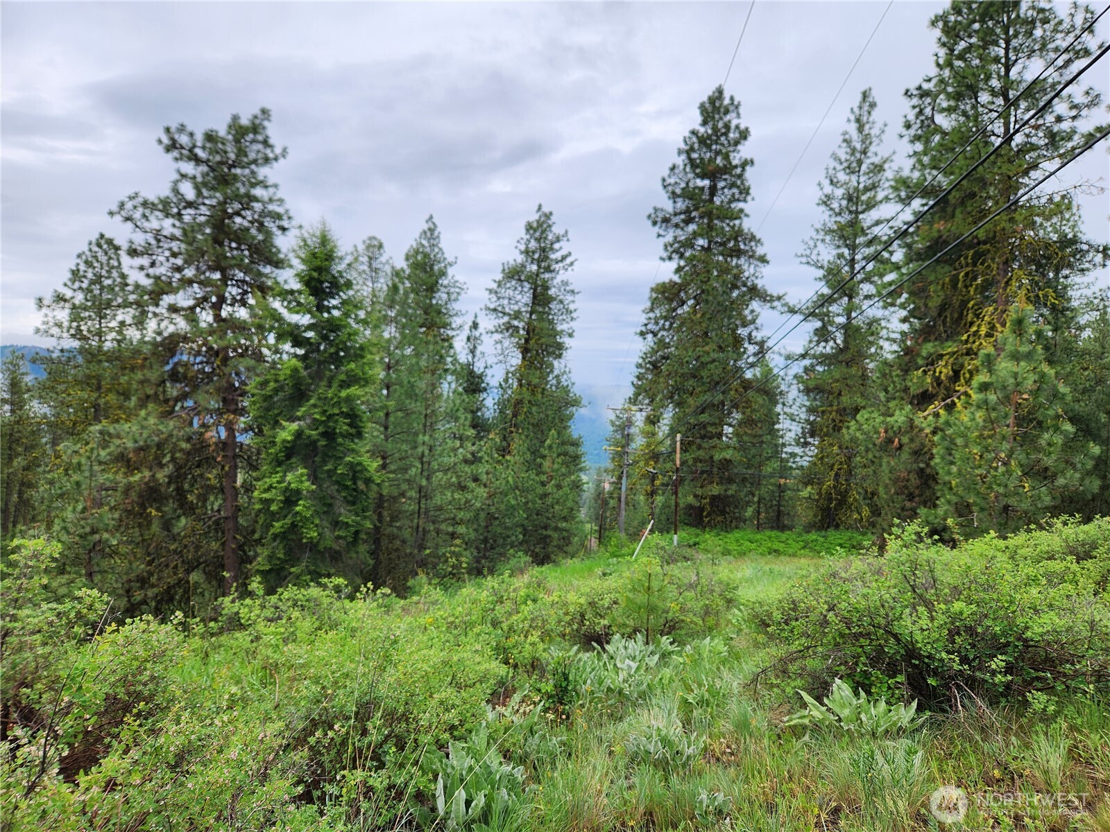 0 Gold Mt. Road Republic WA 99166