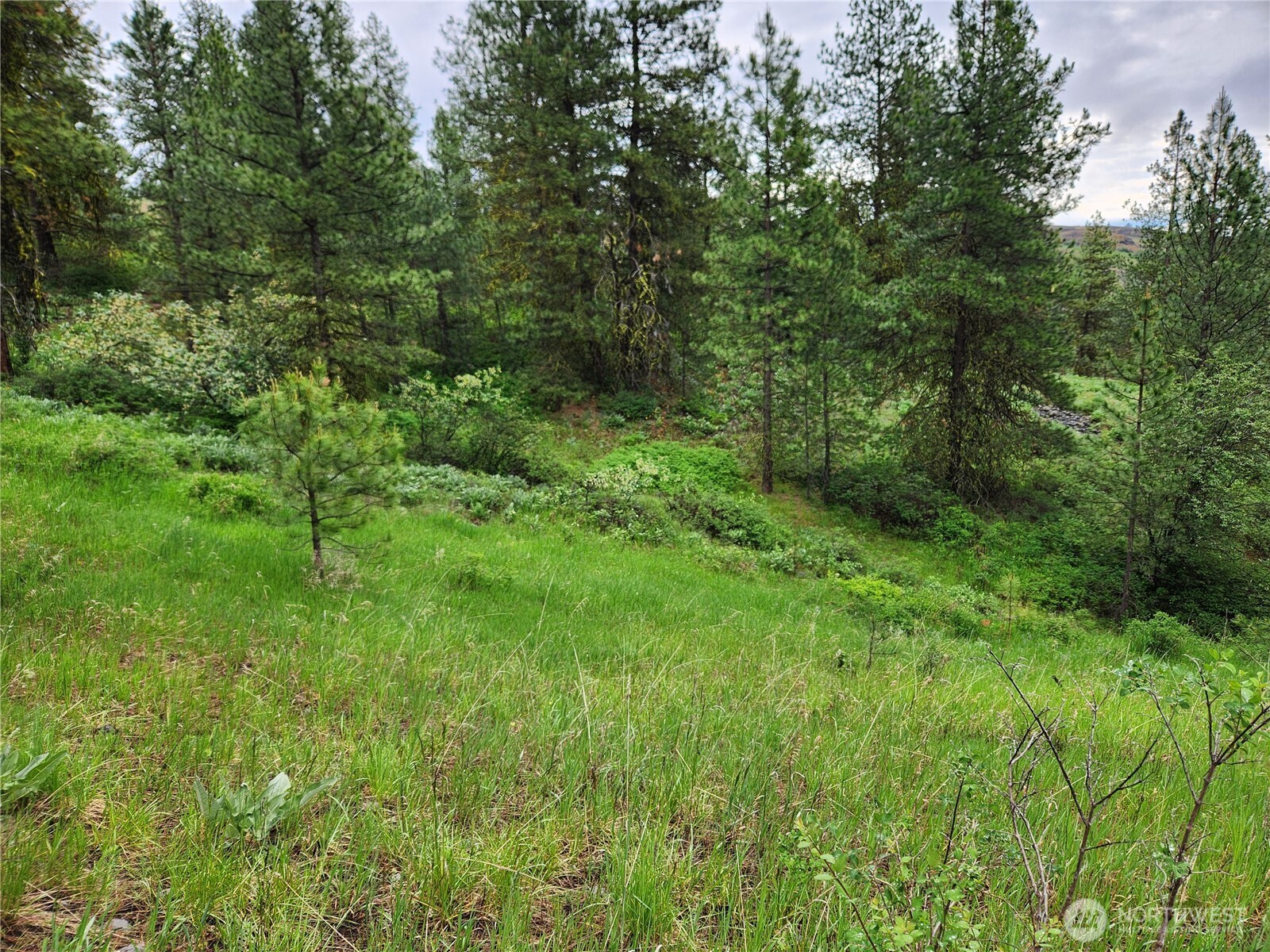 0 Gold Mt. Road Republic WA 99166