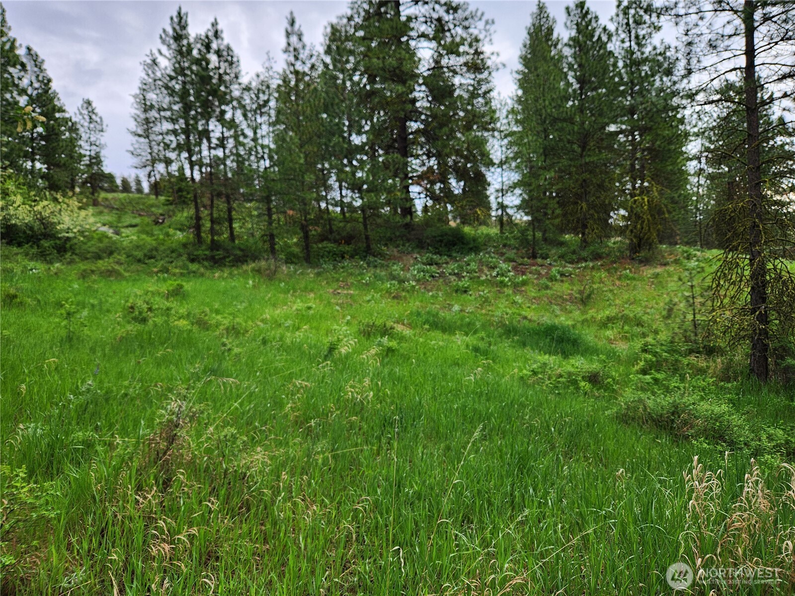 0 Gold Mt. Road Republic WA 99166