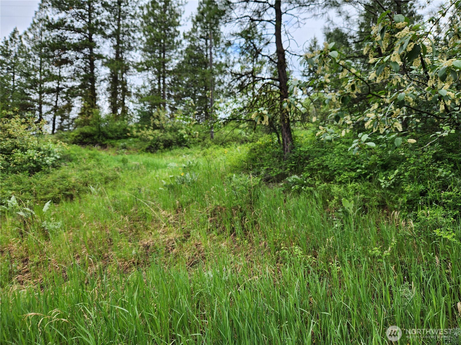 0 Gold Mt. Road Republic WA 99166