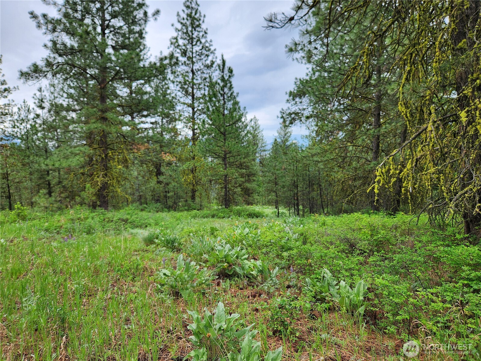 0 Gold Mt. Road Republic WA 99166