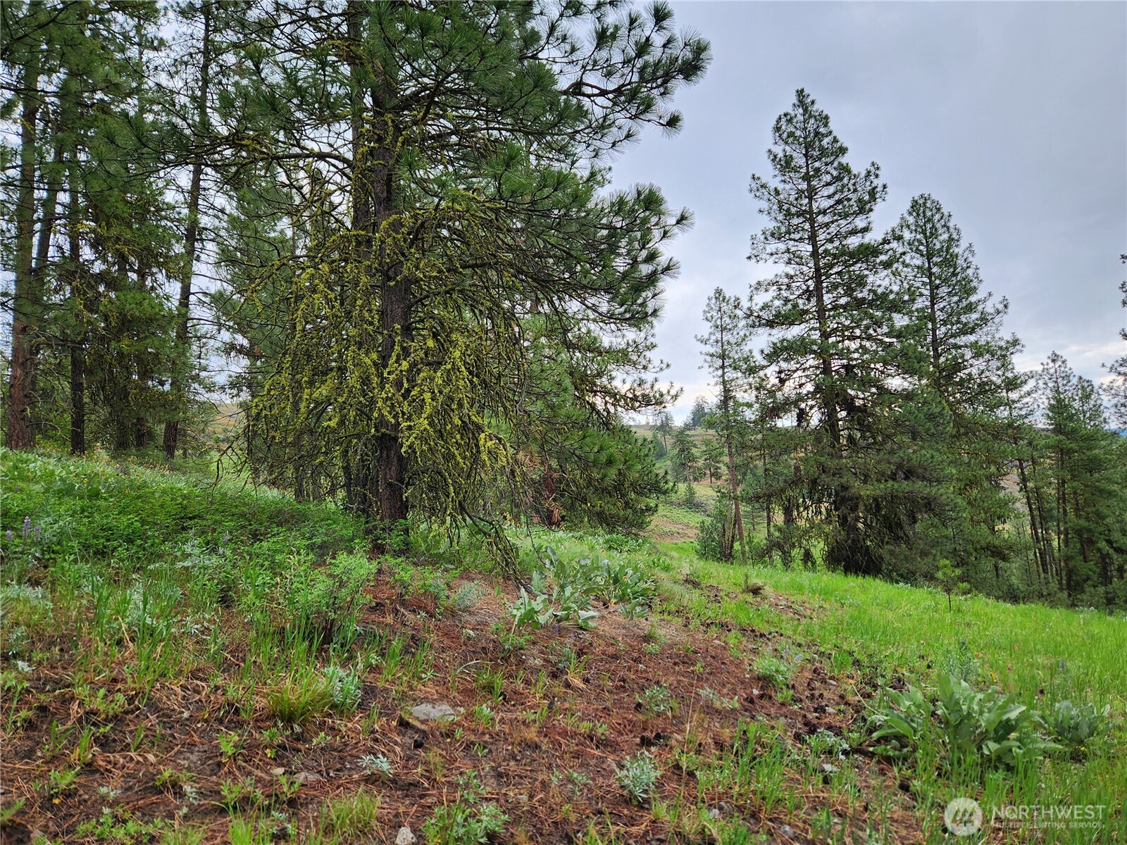 0 Gold Mt. Road Republic WA 99166