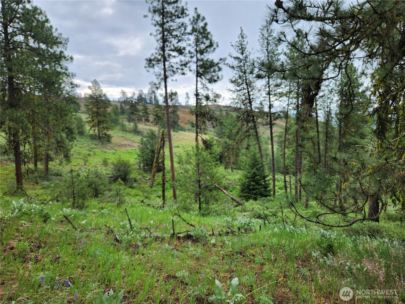 0 Gold Mt. Road Republic WA 99166