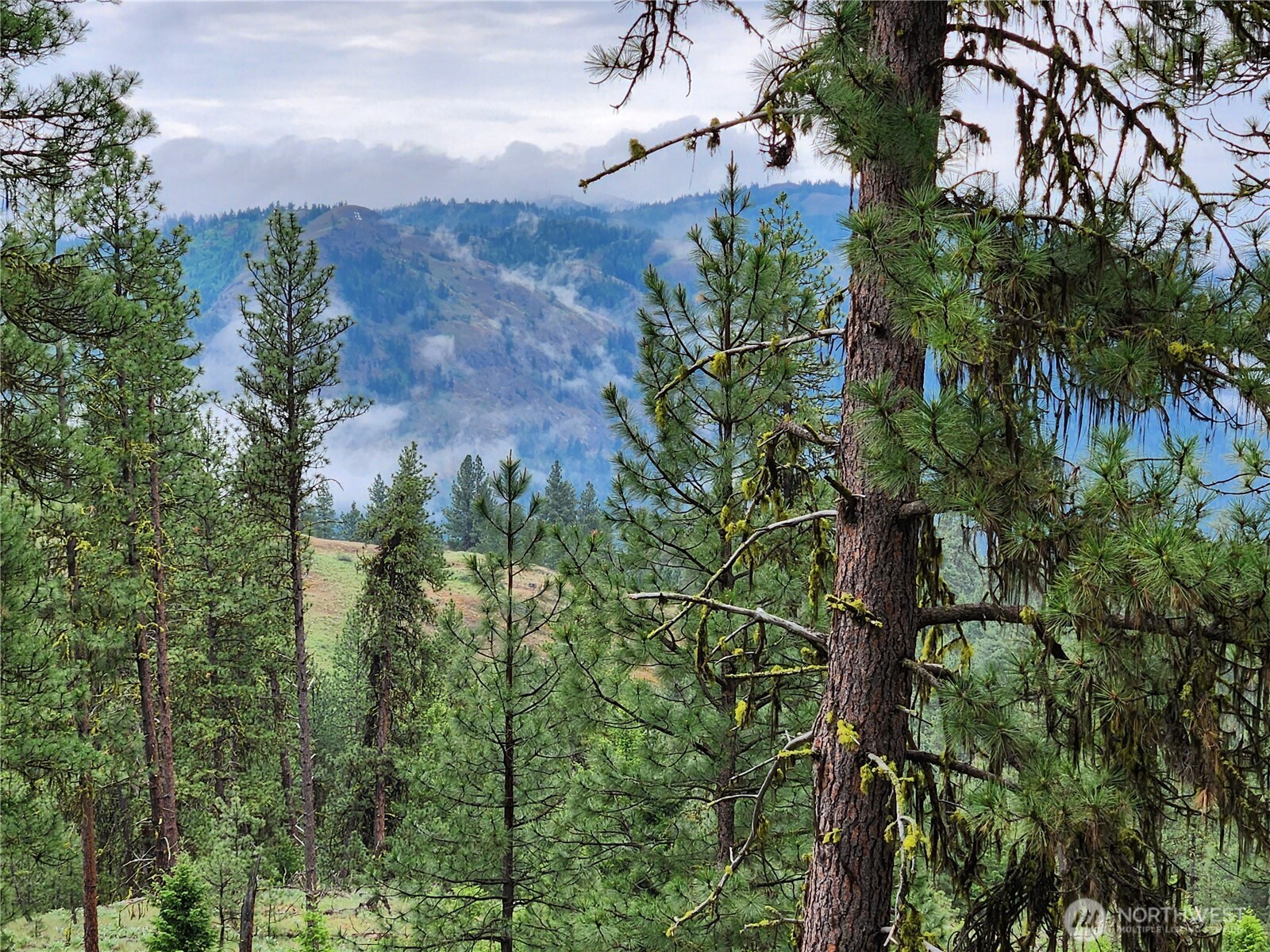 0 Gold Mt. Road Republic WA 99166