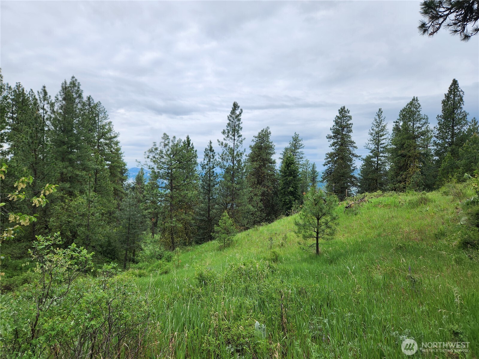 0 Gold Mt. Road Republic WA 99166